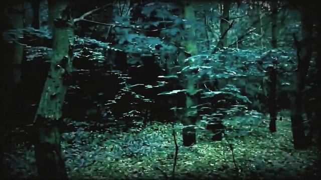 Рона Кенан (Израиль) - Зачем ты пошёл в серый лес?  (Rona Kenan -  Lama Halachta Laya'ar Ha'afor )