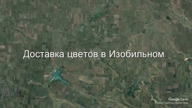 Доставка цветов в Изобильном - Заказ букетов от компании Скорая подарочная помощь смотреть онлайн