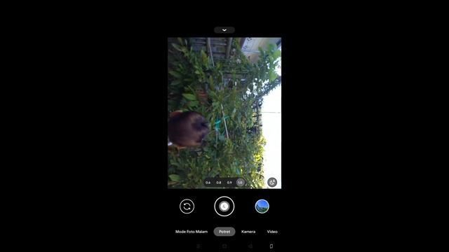 Kamera Android Setara iPhone 14? Review Gcam Bsg 8.1 Configs iPhone 14 Pro Max? смотреть онлайн