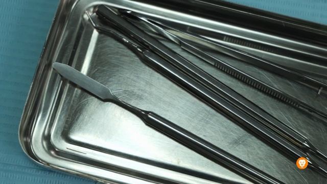 С Biglion увеличилась посещаемость и заинтересованность в услугах | Моя стоматология в Красноярске смотреть онлайн