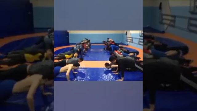 Тоолос теам смотреть онлайн
