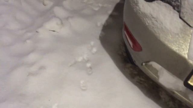 Субару любят даже дети)) смотреть онлайн