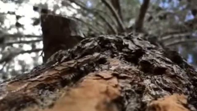 10 октября 2018 г. смотреть онлайн