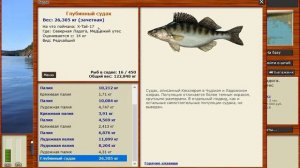 Русская Рыбалка 3 99 Ладожский промысел Заказ на палию