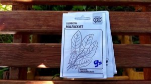 Как и когда посеять щавель? Хочу посеять 5 сортов!