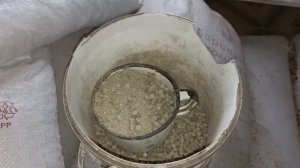 Чем кормить корову что бы давала много молока. Как я кормлю своих коров зимой.