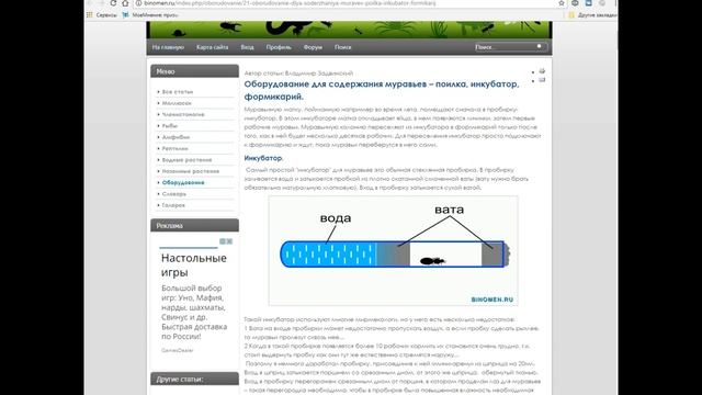 Муравьи. Содержание дома. Для новичков. смотреть онлайн