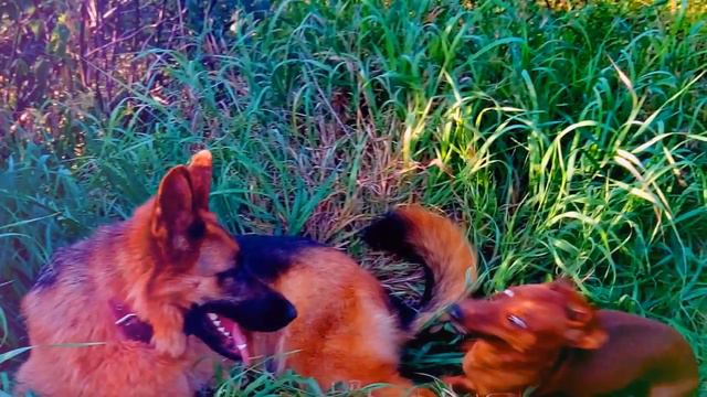 Тайна моя))))