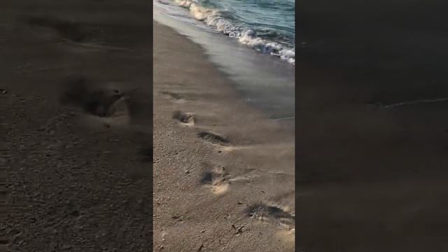 Cuba. Куба. На краю света 3. Португальский кораблик смотреть онлайн