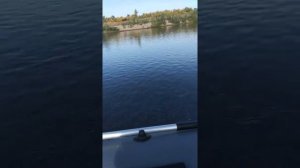 Hangkai 9.8 лодка Инзер 330v