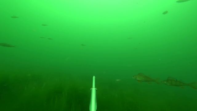 озеро Увильды 2018 год