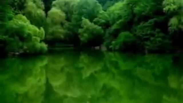 Krishna Das-Mere Guru Dev (original) смотреть онлайн