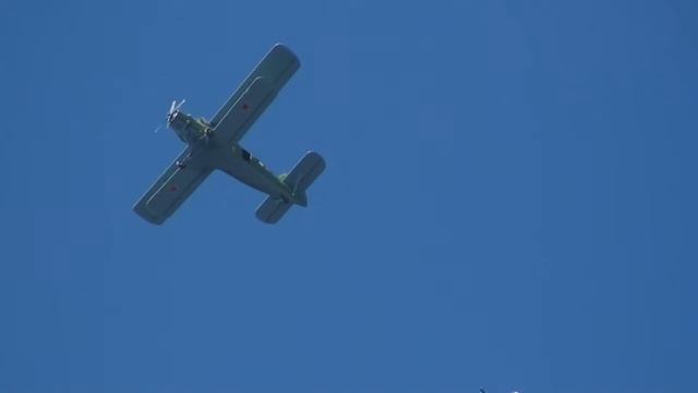 Будущие десантники. Первые прыжки с парашютом смотреть онлайн