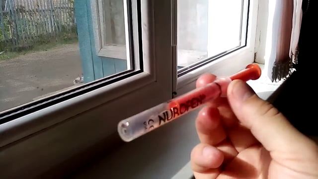 Дикая Природа в Городе и Селе