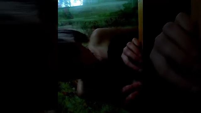 Как сделать браслет из бисера. смотреть онлайн