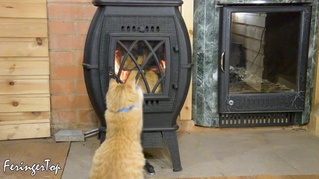 Печь Бахта: ИСПЫТЫВАЕМ ОГНЁМ чугунную отопительно-варочную печь смотреть онлайн