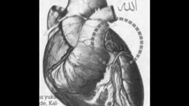 [ISLAM] Фото Знамения (صور لافتات). part 1 смотреть онлайн
