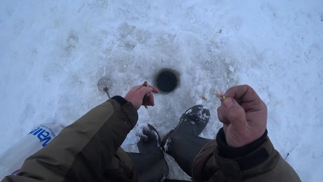 Озеро Чудское. Привязал Поводок и Поперла Плотва. День Второй. Часть-2 смотреть онлайн