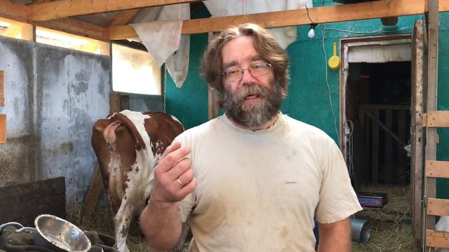 Ярослав Фролов о скидках на продукты из ЛПХ Фроловых смотреть онлайн