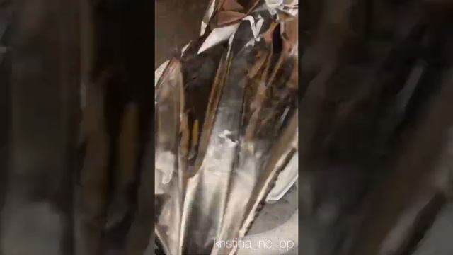 Интересные Факты и Загадки