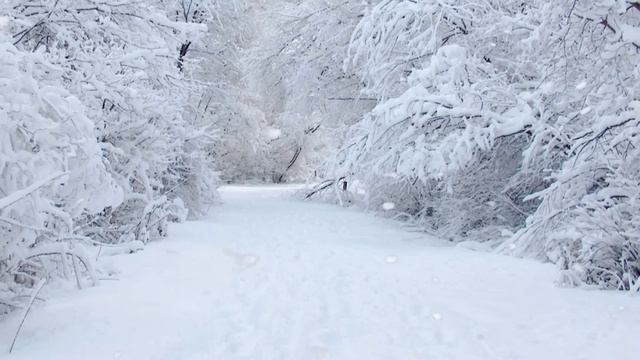 Песенка про мамонтов. Прикол. смотреть онлайн