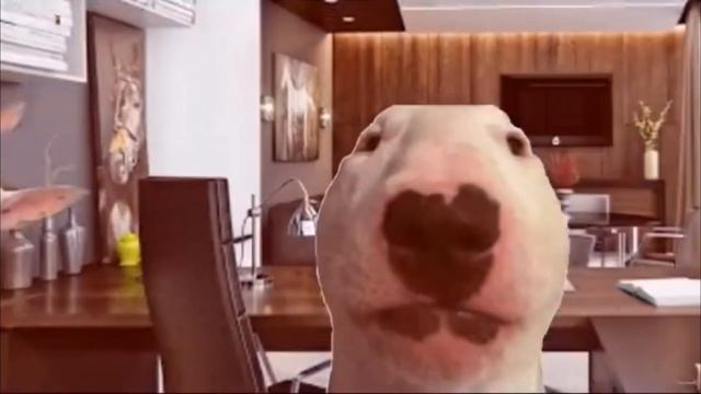 бешеная тётка звонит в сервисный центр чтобы купить стиральную машинку за 3600 смотреть онлайн