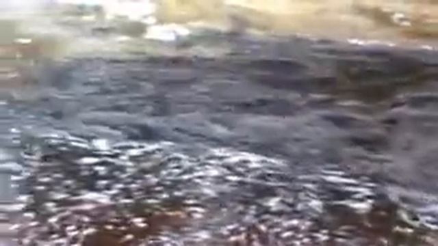 А воды уж весной шумят... смотреть онлайн