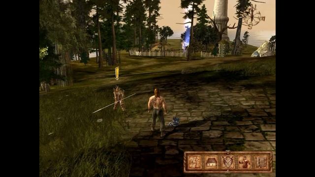 Что будет, если соединить Heroes of Might and Magic и The Elder Scrolls? // Восхождение на трон смотреть онлайн