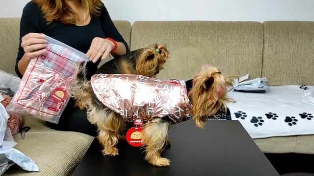Покупки с AliExpress для собак смотреть онлайн