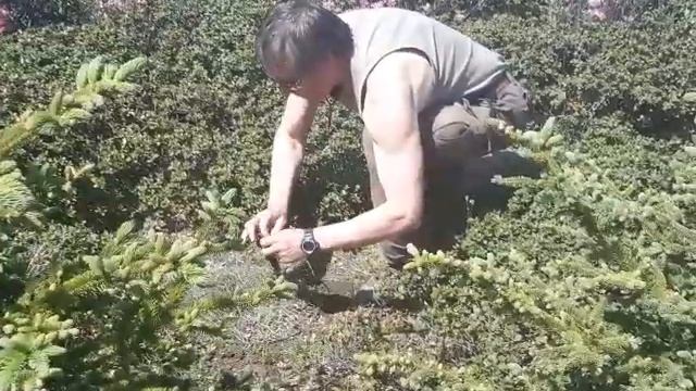 Охота на красношейку. смотреть онлайн