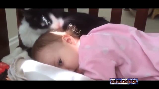 Приколы 2014 года. Смотреть всем! смотреть онлайн