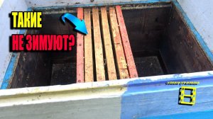 ЧТО ДЕЛАТЬ СО СЛАБЫМИ СЕМЬЯМИ ПЧЕЛ? ЗИМОВКА СЛАБЫХ СЕМЕЙ. ЛЮБИТЕЛЬСКОЕ ПЧЕЛОВОДСТВО 23-40