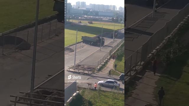 Разворачивается самосвал с полуприцепом Grunwald #Shorts #коллега #самовалы смотреть онлайн