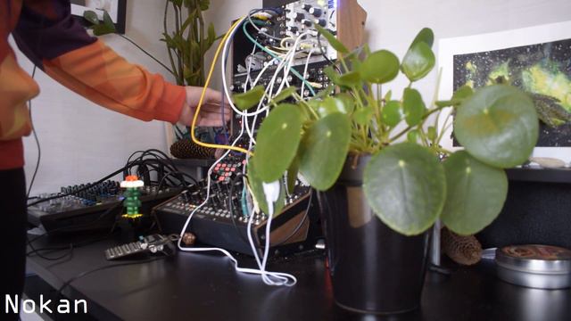 Pilea Peperomioides | Instruo Scion, Moog Subharmonicon, Mother 32, Dfam Po 35 speak and Eurorack смотреть онлайн