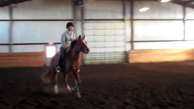 Renny, January 6, Video 3 смотреть онлайн