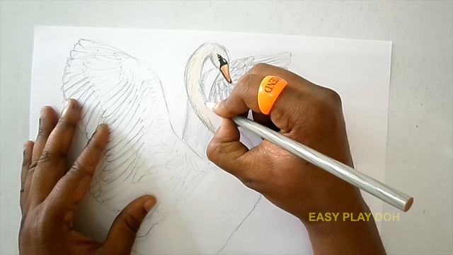 How to Draw a Swan Step by Step Easy смотреть онлайн