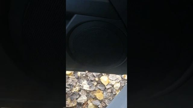 Seat leon mk2 (1p1)снятие и установка зеркала заднего вида смотреть онлайн