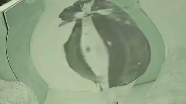 мы с друзьями в любой серьезной ситуации L муд гудков