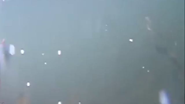 Аргази рыбалка подводная охота смотреть онлайн