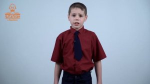 "Дикие гуси ". Эдуард Асадов. Читает НАИЗУСТЬ Алексей Серебрянников.