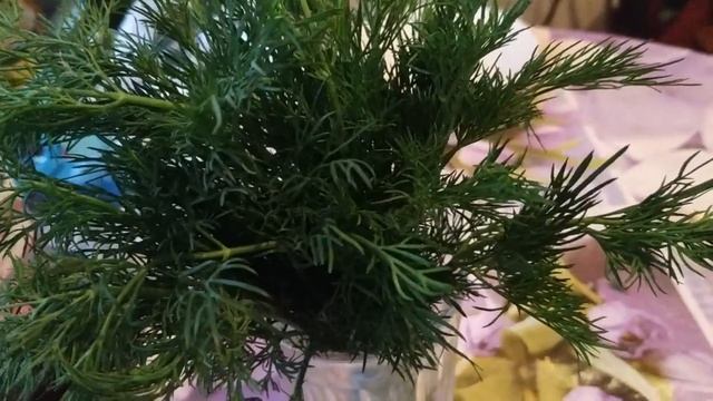 ПРОСТОЕ МЕНЮ НА ДЕНЬ ЧТОБЫ ПОХУДЕТЬ. ЕШЬ И ХУДЕЙ смотреть онлайн