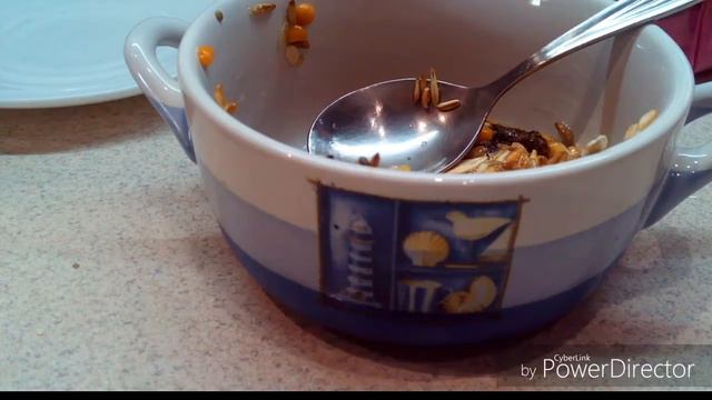 DIY как зделать колосок для хомяка / других гризунов смотреть онлайн