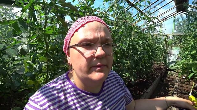 Важное удобрение для томатов в июле смотреть онлайн