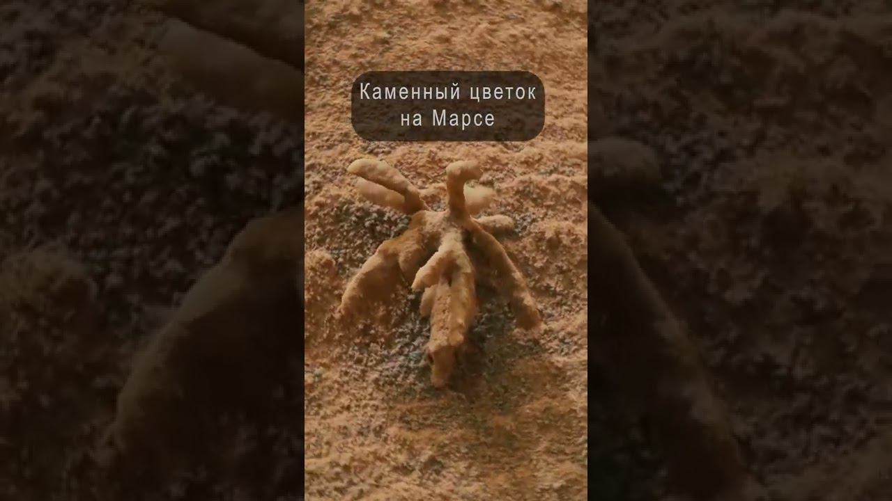 Каменный цветок на Марсе - видео на основе фотографий с марсохода Curiosity #Shorts смотреть онлайн