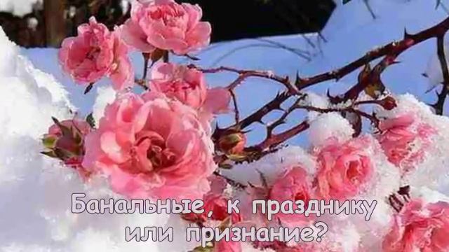 Розы и снег... смотреть онлайн