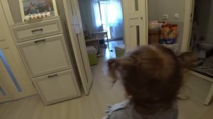 Папа 24 часа делает всё,что скажет Ника!Поездка в игровую,заказала 3 пиццы и выбрала новую куклу!