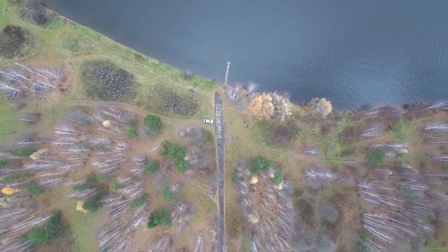 "Журавлик" с высоты. Лесной. Mi Drone 4K смотреть онлайн