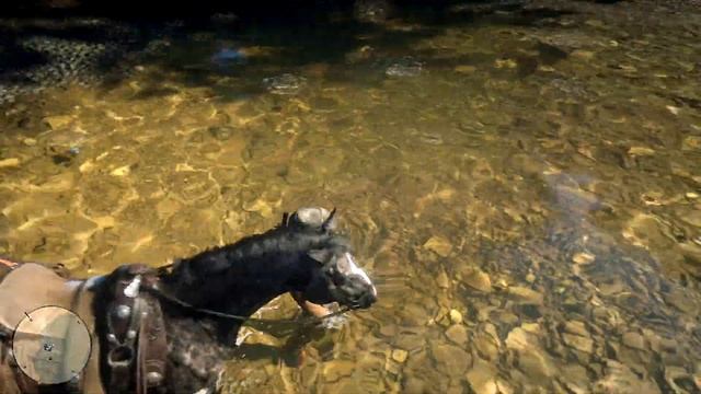 Red Dead Redemption 2 - Испытание Мастер-охотник 8 \ 10 смотреть онлайн