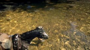 Red Dead Redemption 2 - Испытание Мастер-охотник 8 \ 10