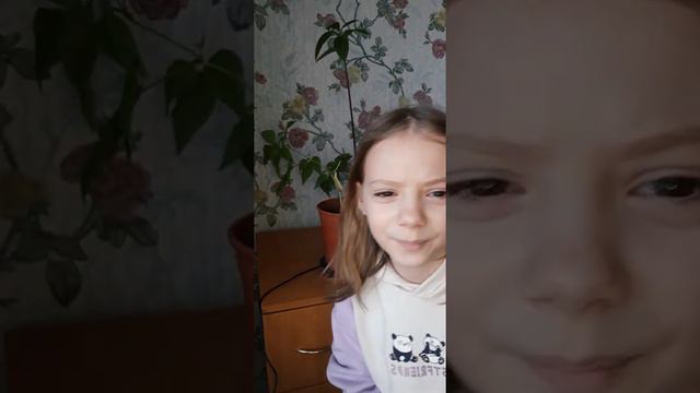 У меня дома растет авокадо из косточки )))) Авокадо в домашинх условиях из косточки смотреть онлайн